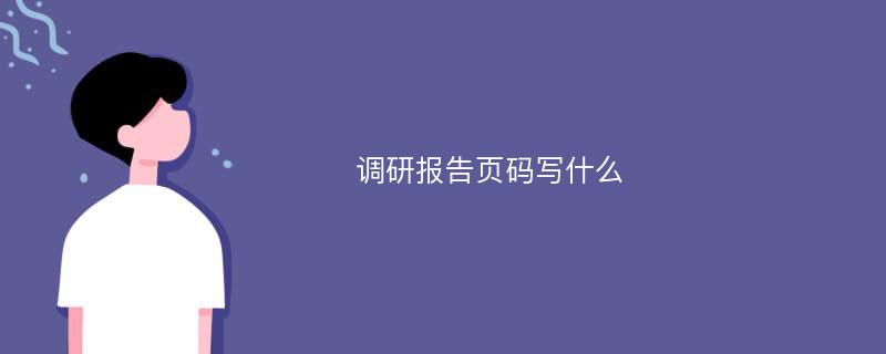 调研报告页码写什么